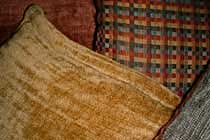  we should have probably bought spring or summer colours, rather than these autumnal ones; what would martha stewart think? 