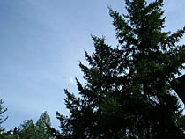 a photograph