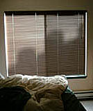 a photograph