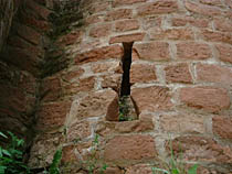 a photograph