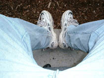 a photograph