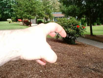 a photograph