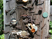 a photograph