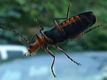a photograph