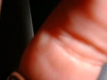 a photograph
