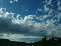 a photograph