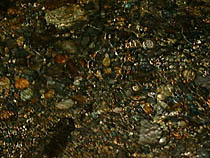 a photograph