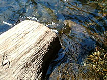 a photograph