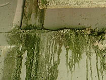 a photograph