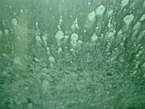 a photograph