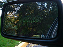 a photograph