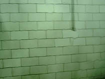 a photograph