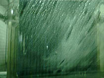 a photograph