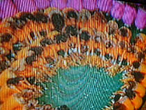 a photograph