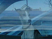 a photograph
