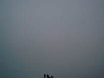 a photograph