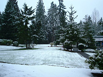 a photograph