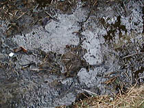a photograph