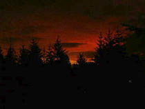 a photograph