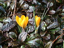 a photograph