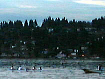 a photograph