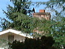 a photograph