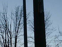 a photograph