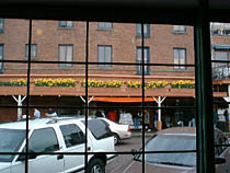 a photograph