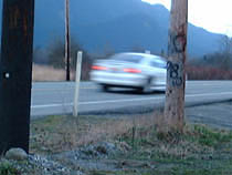 a photograph
