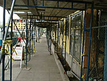 a photograph