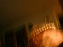 a photograph