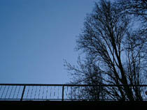 a photograph