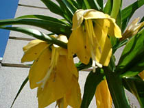 a photograph