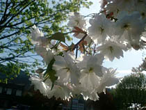 a photograph