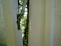 a photograph