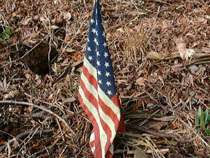 a photograph
