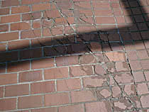 a photograph