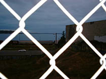 a photograph