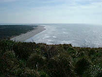 a photograph