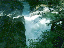 a photograph