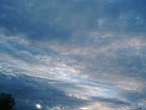 a photograph