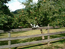 a photograph