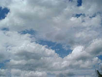 a photograph