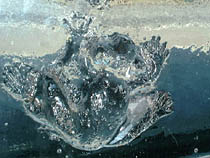 a photograph