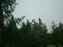 a photograph