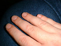 a photograph