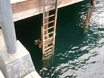 a photograph