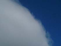 a photograph