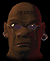 Terran