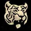 thay_tiger.jpg (3175 bytes)